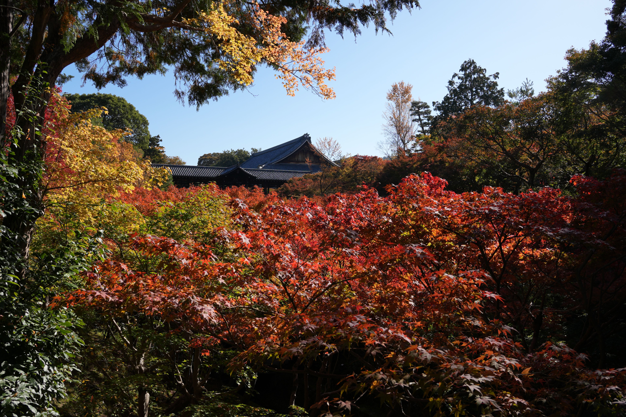 Japan background banner